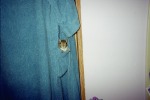 Squirrel hiding in a pocket